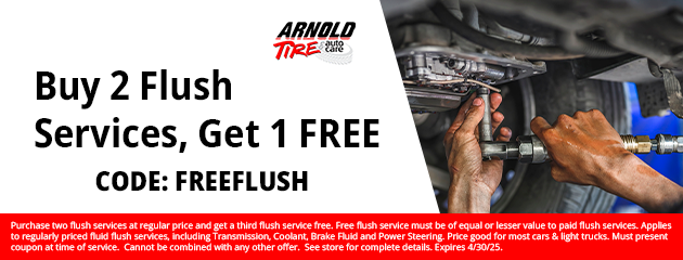 Buy 2 Flush Services, Get 1 FREE